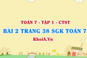 Bài 2 trang 38 SGK Toán 7 chân trời sáng tạo tập 1